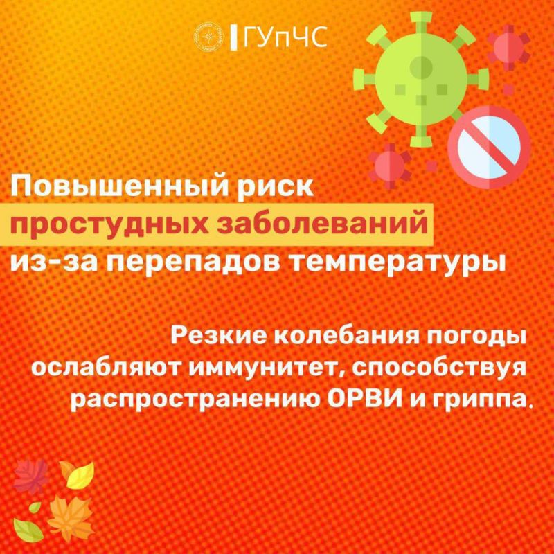 Осень – это удивительное время Осень – это удивительное время