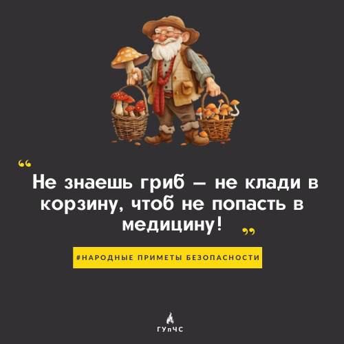 Не знаете гриб – не кладите в корзину, чтобы не попасть к медикам!