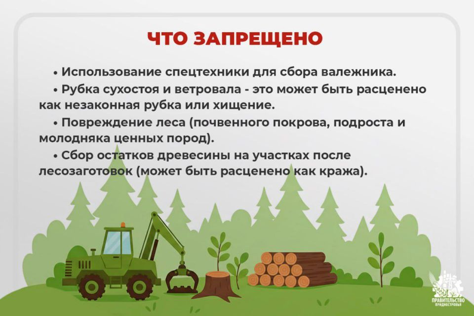 Правительство напомнило, какие материалы разрешено, а какие запрещено использовать для заготовки дров Правительство напомнило, какие материалы разрешено, а какие запрещено использовать для заготовки дров