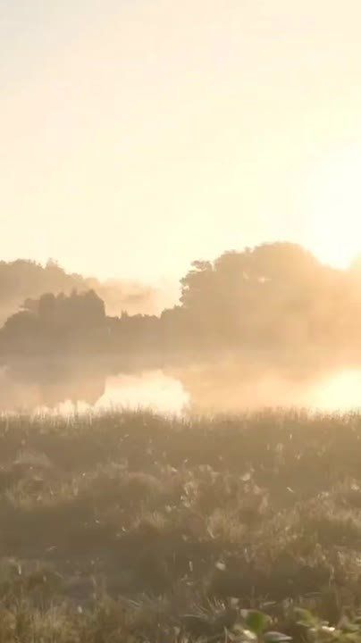 Завтра с утра ожидается туман