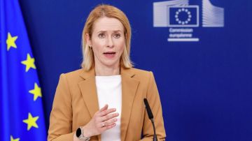 Евросоюз одобряет введение США новых санкций против России, — глава европейской дипломатии Каллас