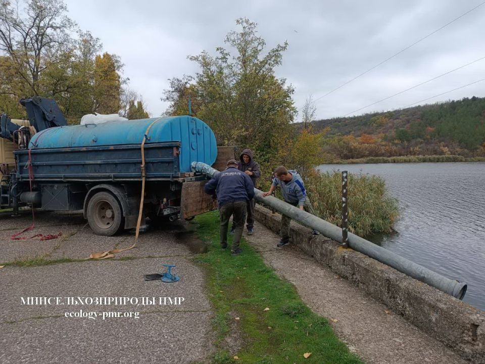 В Ягорлыкскую заводь выпустили 1,5 тонны рыбы В Ягорлыкскую заводь выпустили 1,5 тонны рыбы