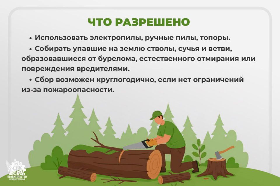 Правительство напомнило, какие материалы разрешено, а какие запрещено использовать для заготовки дров Правительство напомнило, какие материалы разрешено, а какие запрещено использовать для заготовки дров