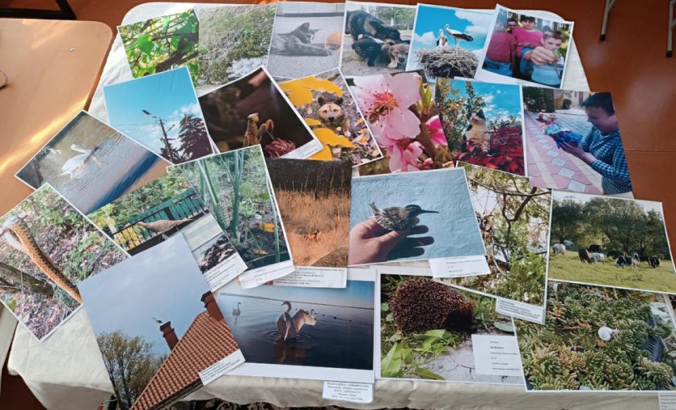 «Соседи по планете»: в Слободзейском районе подвели итоги фотоконкурса, посвящённого природе родного края «Соседи по планете»: в Слободзейском районе подвели итоги фотоконкурса, посвящённого природе родного края