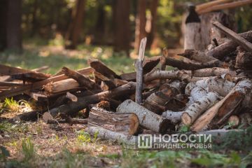 Как заготовить валежник к холодам и не получить штраф