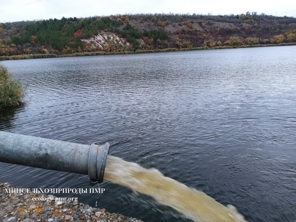 В Ягорлыкскую заводь выпустили 1,5 тонны рыбы В Ягорлыкскую заводь выпустили 1,5 тонны рыбы