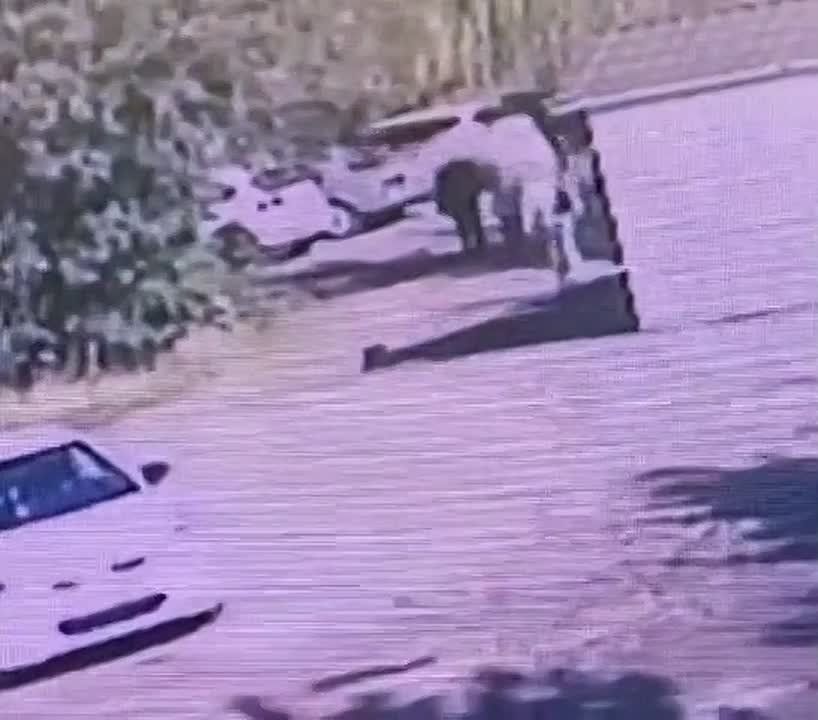 Луганск, момент детонации музыкальной колонки после того как мужчина пнул ее ногой