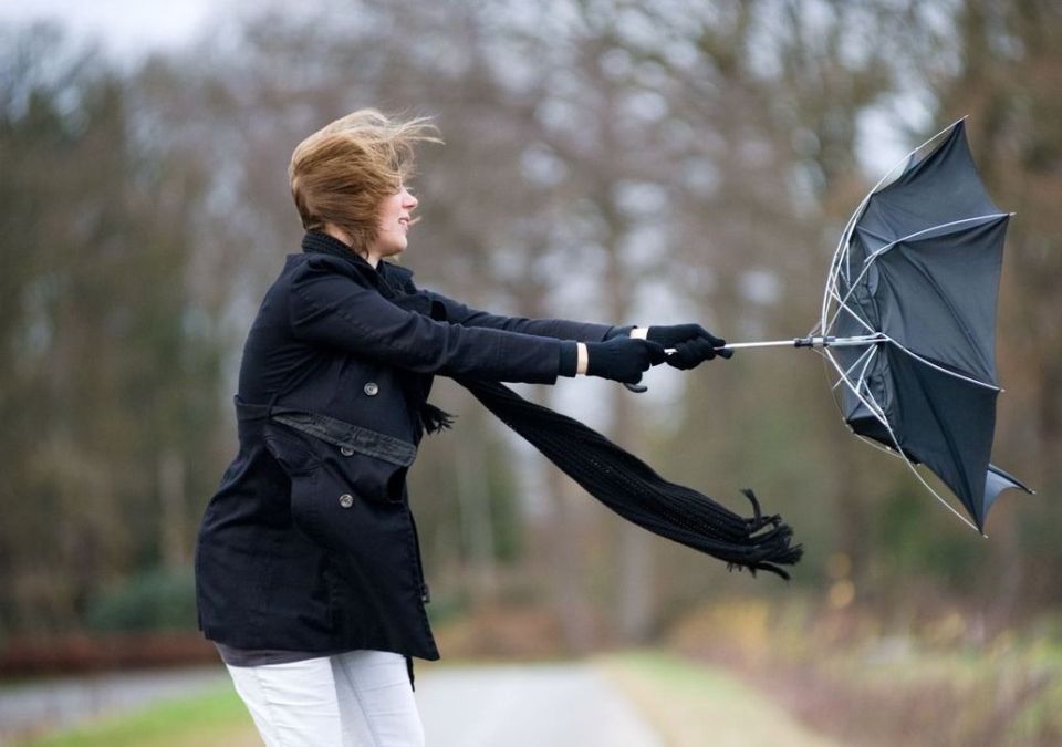  .  : , 24 ,         -    15 /