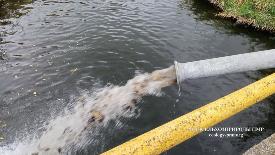 В Ягорлыкскую заводь выпустили карпов и карасей В Ягорлыкскую заводь выпустили карпов и карасей