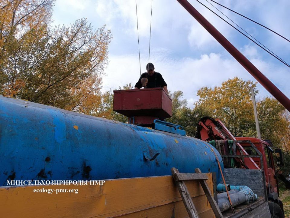 В Ягорлыкскую заводь выпустили карпов и карасей В Ягорлыкскую заводь выпустили карпов и карасей