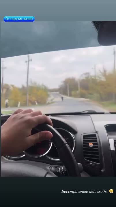 Коротко о пешеходах