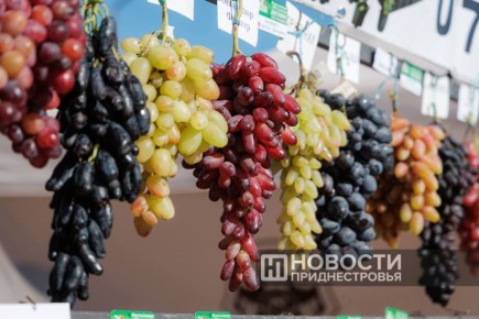 Душистые гроздья сегодня украшают и прилавок семьи Чебан из Терновки