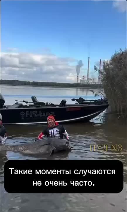 «Який файный сом»:. Команда польских рыбаков утверждает, что поймала рекордный улов – вельзийского сома длиной 292 сантиметра