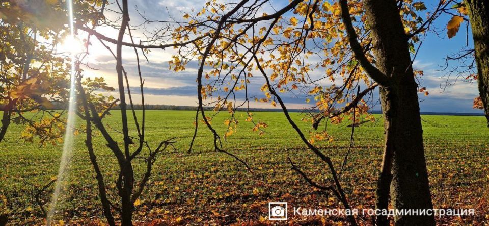 Спокойствие и нежность осенних пейзажей Каменского района Спокойствие и нежность осенних пейзажей Каменского района