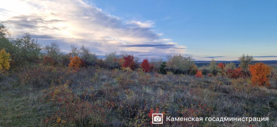 Спокойствие и нежность осенних пейзажей Каменского района Спокойствие и нежность осенних пейзажей Каменского района