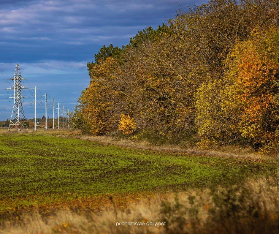Такая разная, но всегда уютная приднестровская осень в объективе Виктора Громова Такая разная, но всегда уютная приднестровская осень в объективе Виктора Громова
