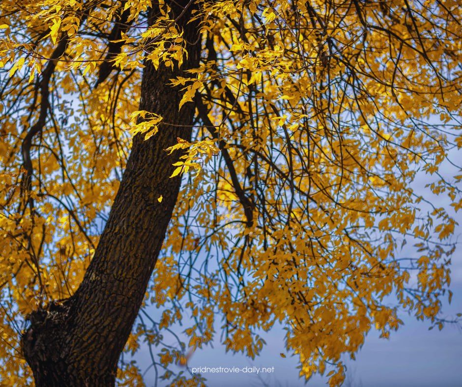 Такая разная, но всегда уютная приднестровская осень в объективе Виктора Громова Такая разная, но всегда уютная приднестровская осень в объективе Виктора Громова