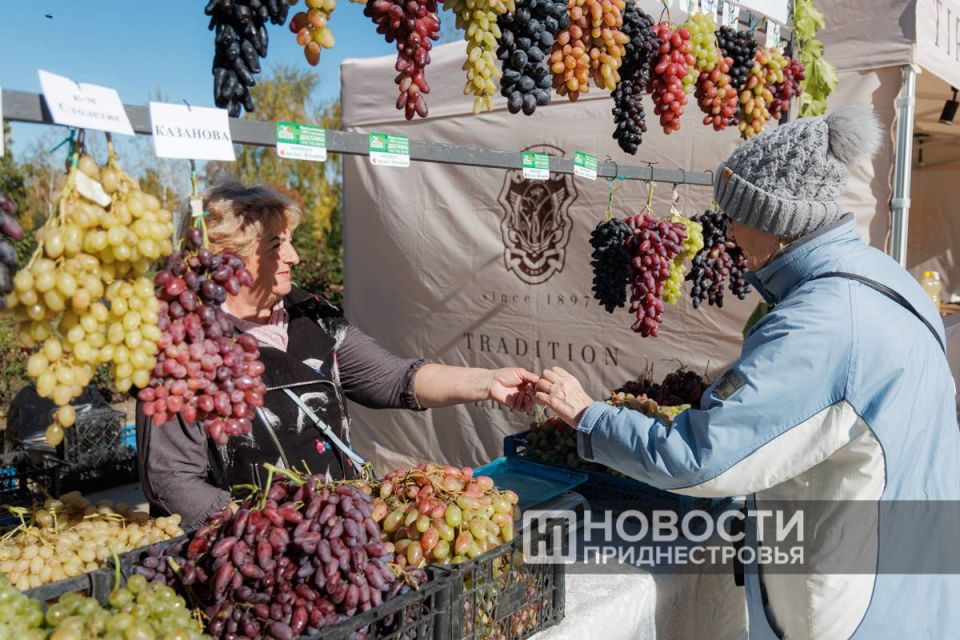 Душистые гроздья сегодня украшают и прилавок семьи Чебан из Терновки Душистые гроздья сегодня украшают и прилавок семьи Чебан из Терновки