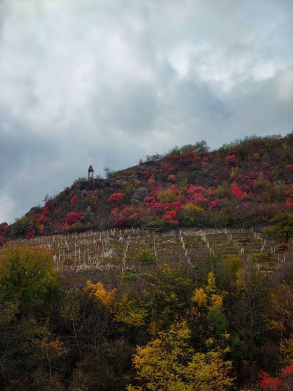 Осенние Строенцы (Рыбницкий район)