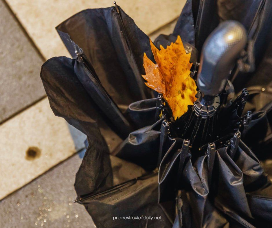 Такая разная, но всегда уютная приднестровская осень в объективе Виктора Громова Такая разная, но всегда уютная приднестровская осень в объективе Виктора Громова