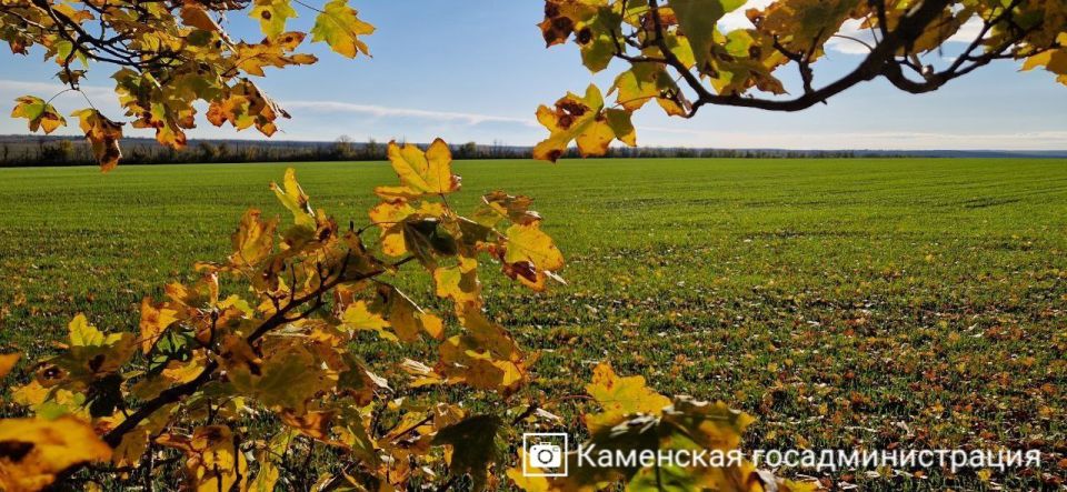Спокойствие и нежность осенних пейзажей Каменского района Спокойствие и нежность осенних пейзажей Каменского района