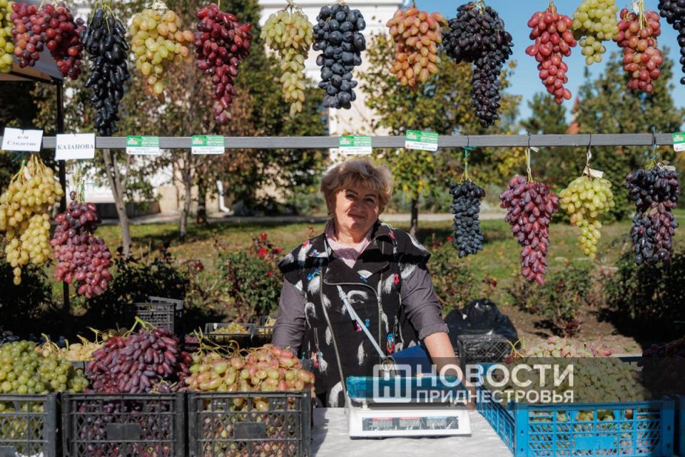 Душистые гроздья сегодня украшают и прилавок семьи Чебан из Терновки Душистые гроздья сегодня украшают и прилавок семьи Чебан из Терновки