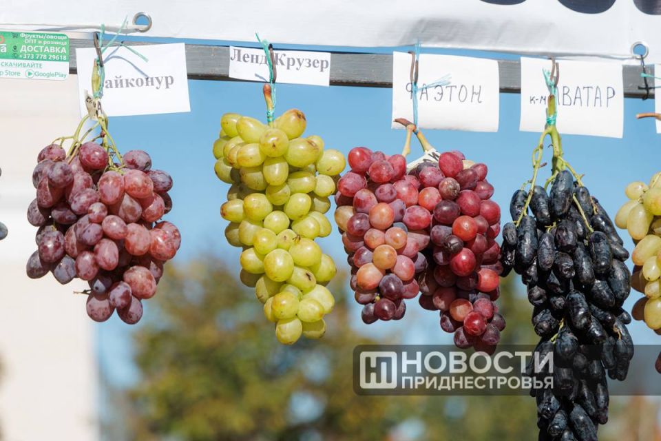 Душистые гроздья сегодня украшают и прилавок семьи Чебан из Терновки Душистые гроздья сегодня украшают и прилавок семьи Чебан из Терновки