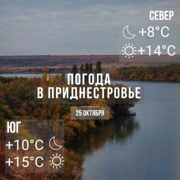 Днём – до +15°С. Без осадков