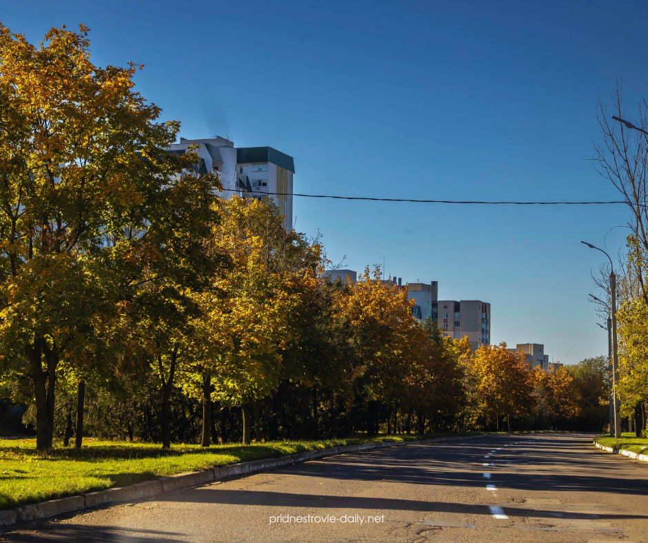 Такая разная, но всегда уютная приднестровская осень в объективе Виктора Громова