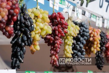 Душистые гроздья сегодня украшают и прилавок семьи Чебан из Терновки