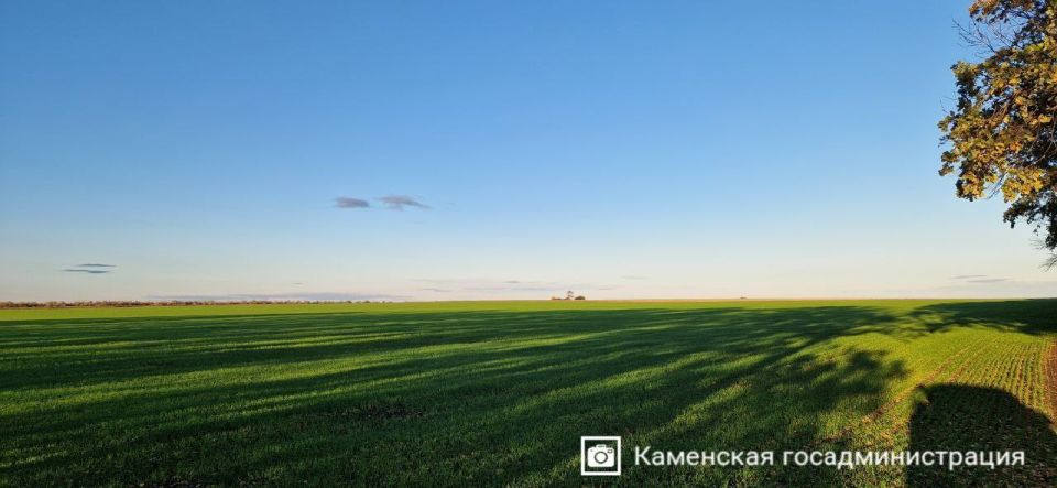 Спокойствие и нежность осенних пейзажей Каменского района Спокойствие и нежность осенних пейзажей Каменского района