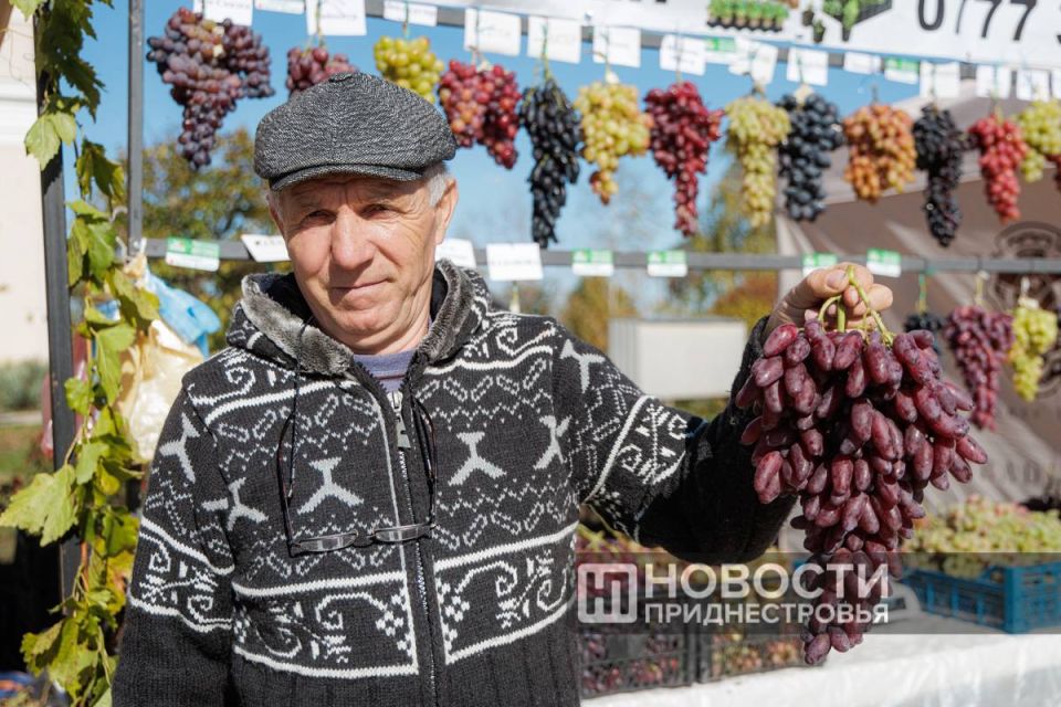 Душистые гроздья сегодня украшают и прилавок семьи Чебан из Терновки Душистые гроздья сегодня украшают и прилавок семьи Чебан из Терновки
