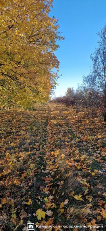 Спокойствие и нежность осенних пейзажей Каменского района Спокойствие и нежность осенних пейзажей Каменского района