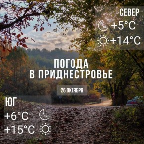 Днём– до +15°С. Местами дожди