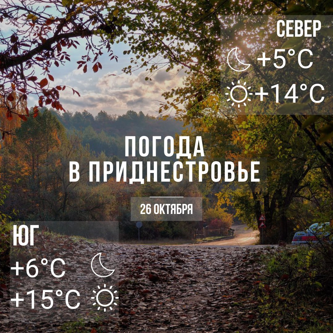Днём– до +15°С. Местами дожди