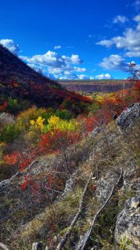 Вся палитра красок этой осени