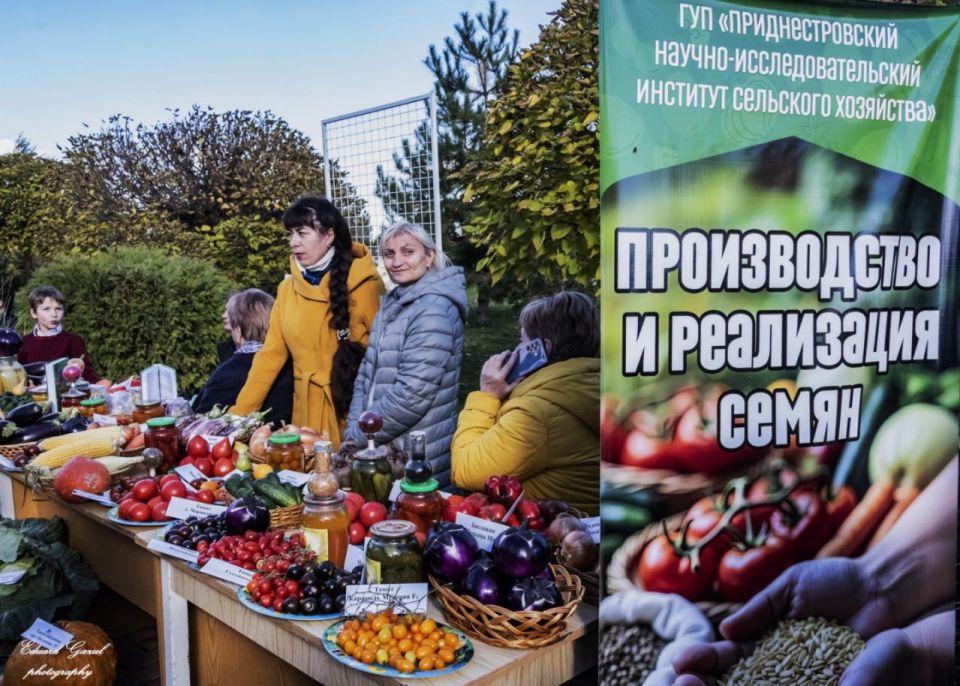 Приднестровский НИИ сельского хозяйства и Республиканский ботсад приняли участие в праздничных мероприятиях в Бендерах