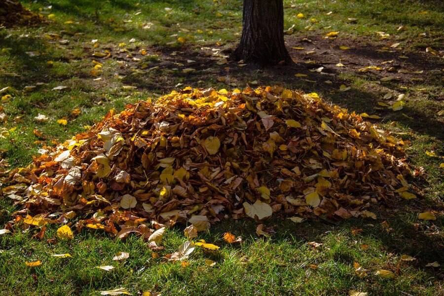 В Рыбницком районе 14-летний подросток ударил сверстницу