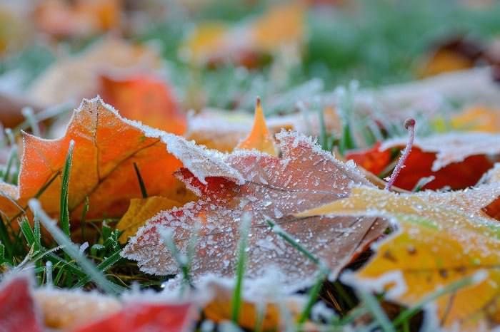 Штормовое предупреждение: заморозки ночью и утром 29 октября