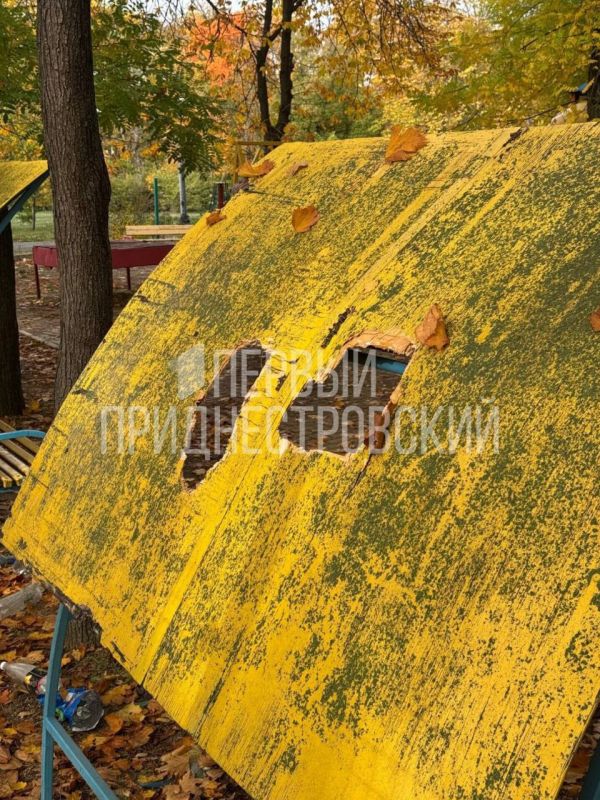 В столичном парке «Победа» подростки разгромили карусель, сломали калитку и пробили крышу беседки В столичном парке «Победа» подростки разгромили карусель, сломали калитку и пробили крышу беседки