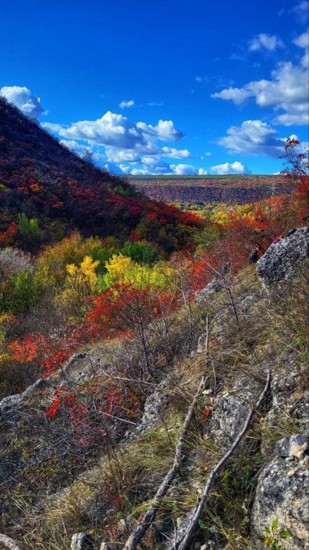 Осенний шедевр в Выхватинцах