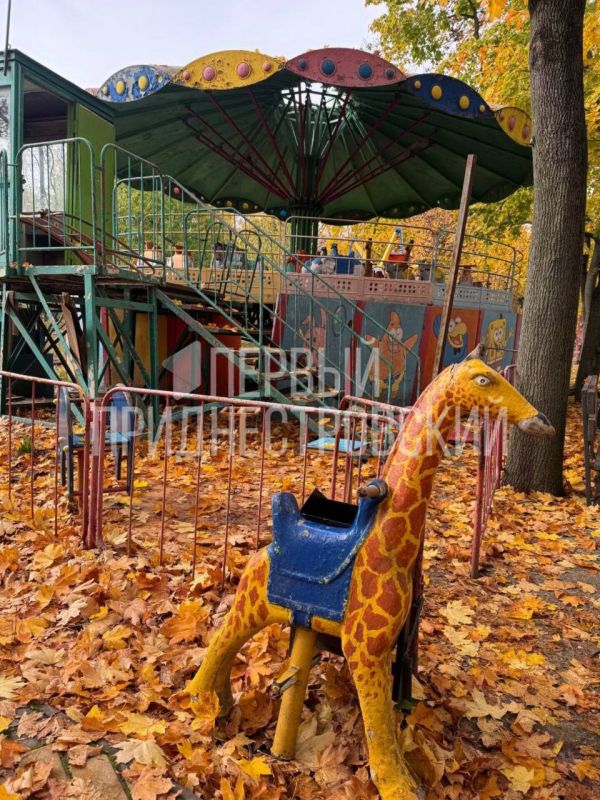 Последствия урагана вандализма в столичном парке Победа Последствия урагана вандализма в столичном парке Победа