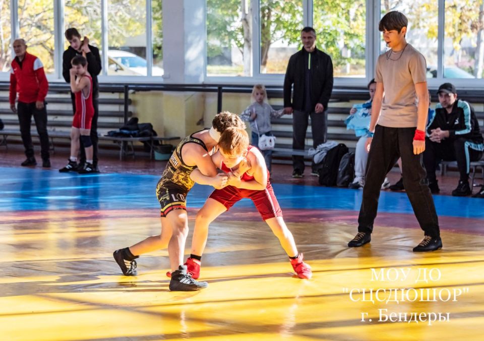 Фестиваль спорта памяти Л.И. Перца Фестиваль спорта памяти Л.И. Перца