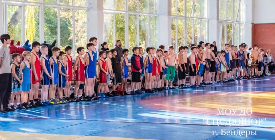 Фестиваль спорта памяти Л.И. Перца Фестиваль спорта памяти Л.И. Перца