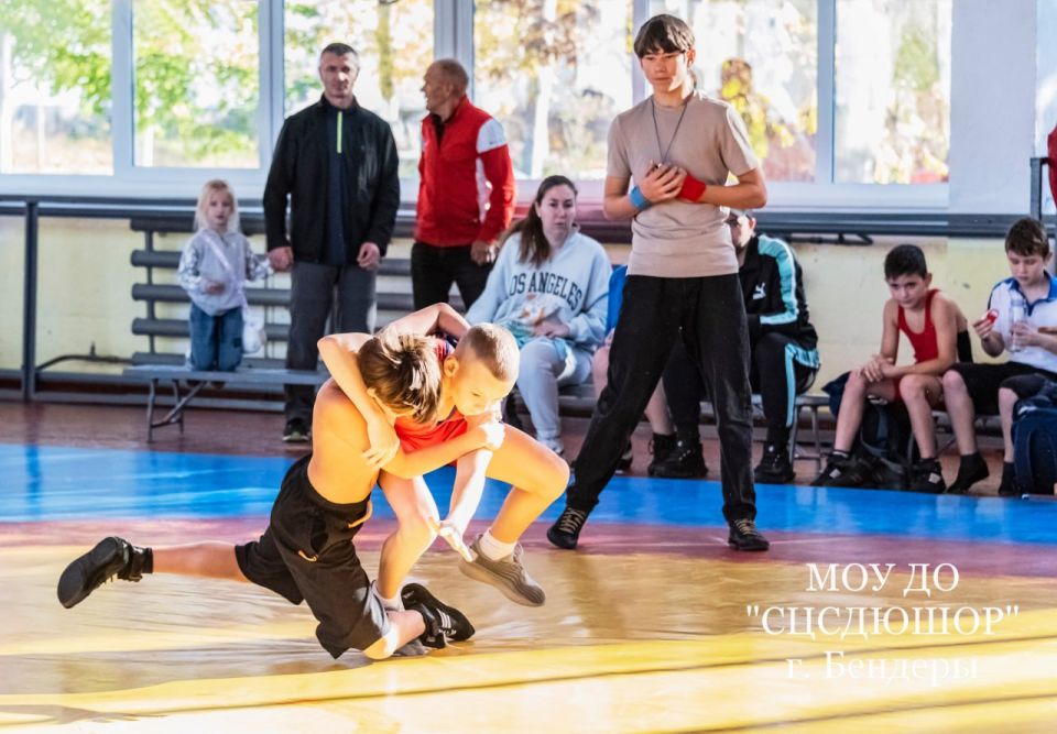 Фестиваль спорта памяти Л.И. Перца Фестиваль спорта памяти Л.И. Перца