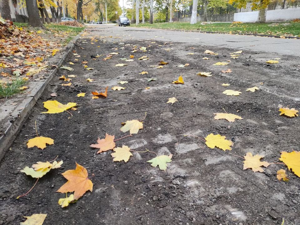 История под ногами. На улице Пушкина, возле гимназии и медколледжа, во время ремонта дороги рабочие снова обнаружили старую брусчатку История под ногами. На улице Пушкина, возле гимназии и медколледжа, во время ремонта дороги рабочие снова обнаружили старую брусчатку