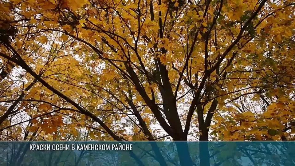 Краски осени в Каменском районе