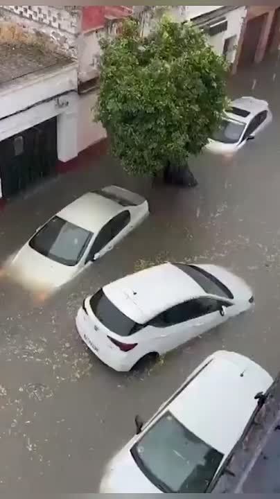 #МировыеНовости – Сильные ливни в Испании