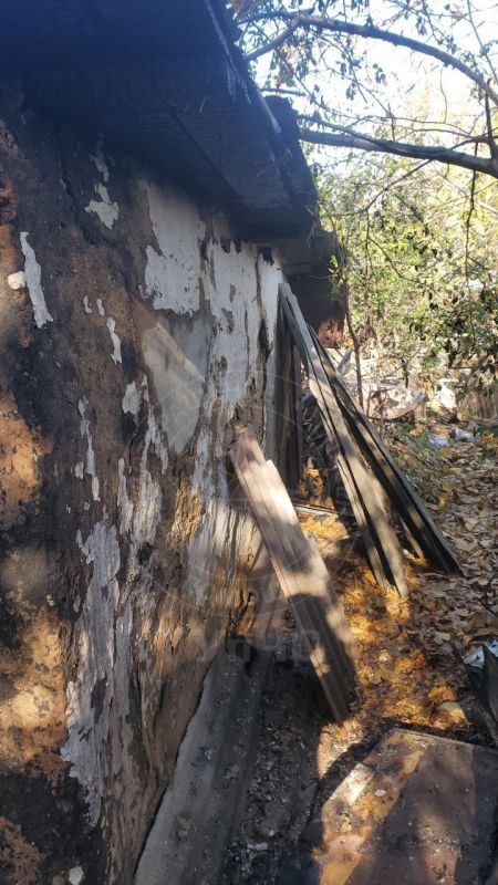 В столице сгорела хозпостройка В столице сгорела хозпостройка