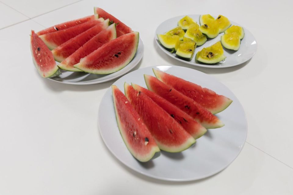 В Антарктике собрали урожай арбузов В Антарктике собрали урожай арбузов